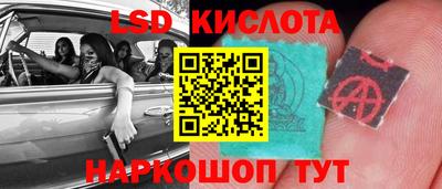 прущие грибы Будённовск