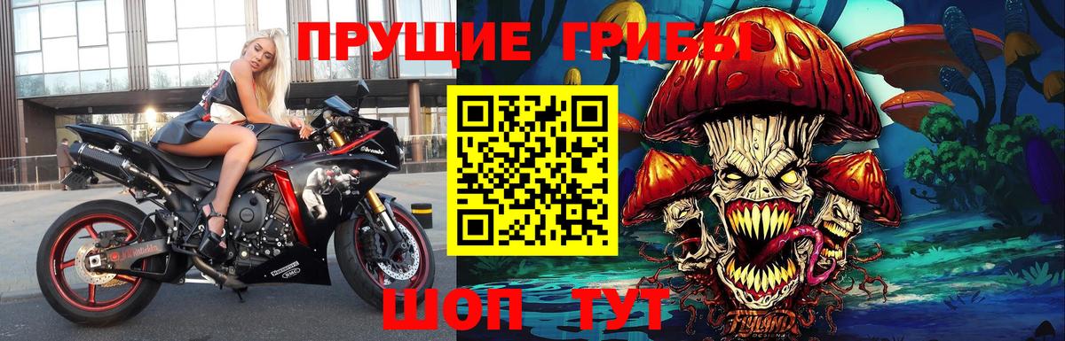 Галлюциногенные грибы GOLDEN TEACHER  Вход с VPN  где найти наркотики  Лангепас 